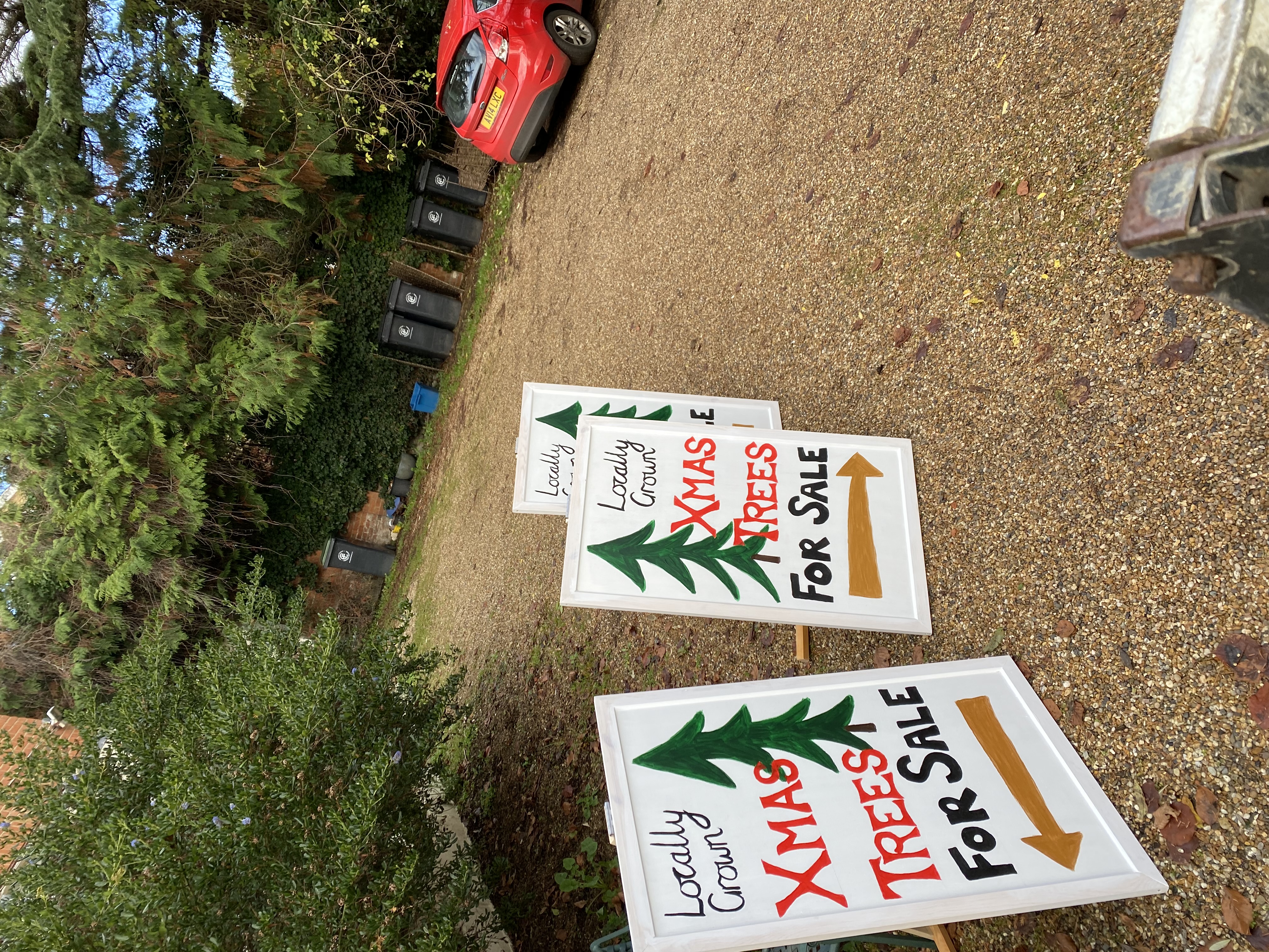 Theydon Christmas Trees Farm