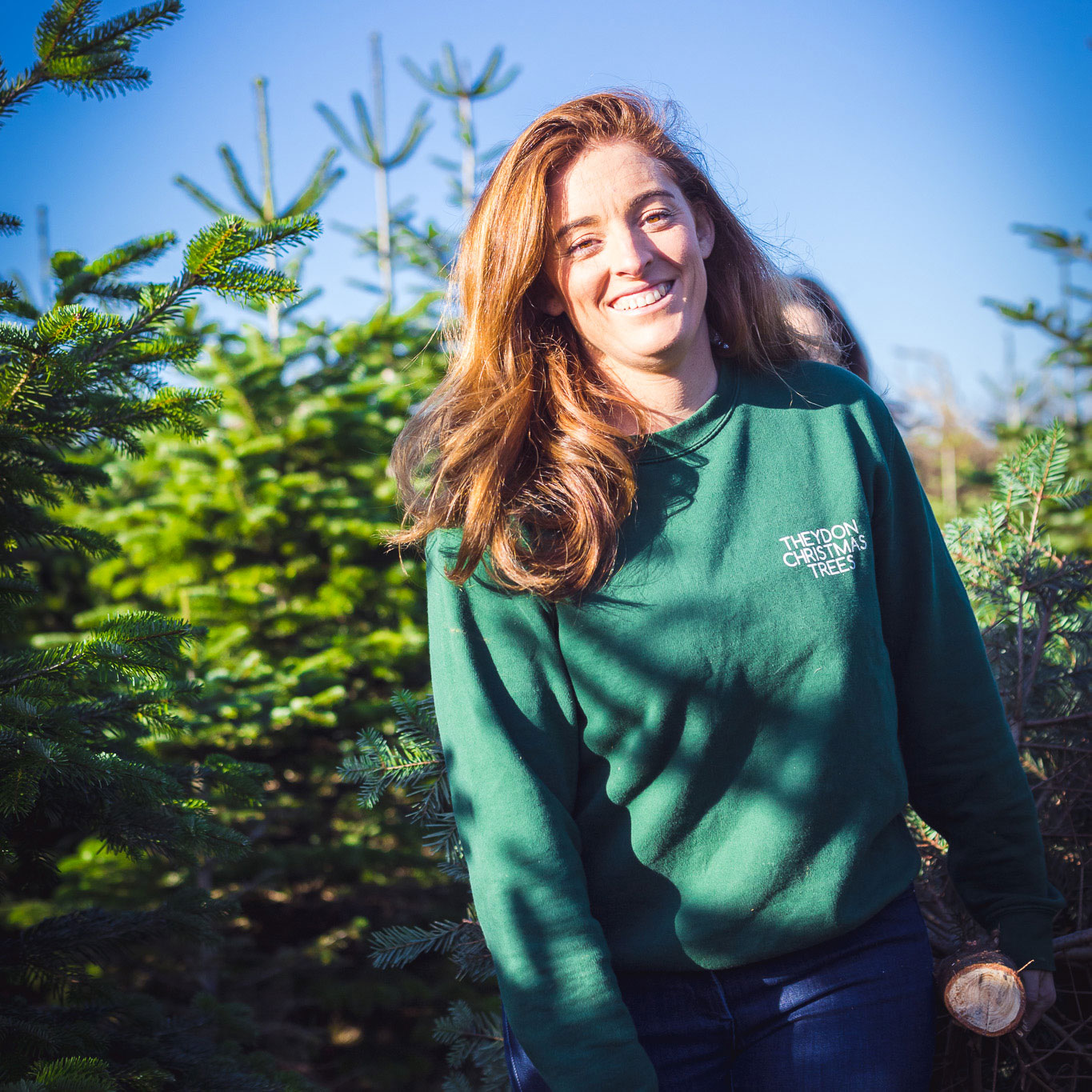 Nordmann fir tree worker at Theydon Christmas Trees